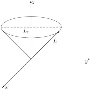 Abbildung 5.1: Drehimpuls-Kegel der Eigenwerte von ˆ L (schematisch). L¨ange (Betrag von L) und z-Komponente sind fixiert