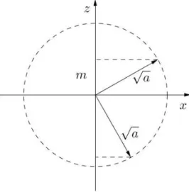 Abbildung 5.2: Projektion der Drehimpulskegel auf die z − x-Ebene. Die Abbildung ist analog zu Abb