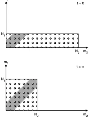 Fig. 5. Illustration of the potency of the microtrajectories associated with different distributions of N particles on the two dogs