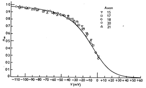 Fig. 5. Abscissa: membrane potential minus resting potential in sea water. Ordinate: experi- experi-mental measurements of n, calculated from the steady potassium conductance by the relation n