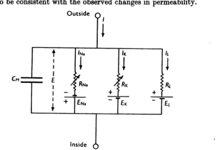 Fig. 1. Electrical circuit representing membrane. RB =l/gNa; RK= l/9K; RI= 1/#1. RNw and RK vary with time and membrane potential; the other components are constant.