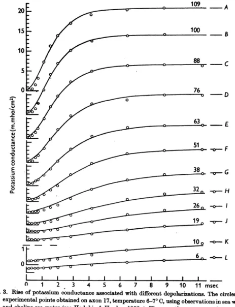 Fig. 3. Rise of potassium conductance associated with different depolarizations. The circles are experimental points obtained on axon 17, temperature 6-70 C, using observations in sea water and choline sea water (see Hodgkin &amp; Huxley, 1952a)
