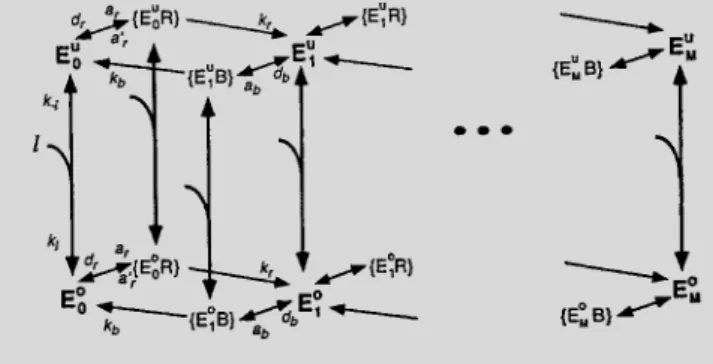 Figure 3a illustrates the most striking result of the model: we have found that the system shows almost perfect adaptation for a wide range of values of the network’s biochemical parameters