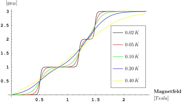 Abb. 10: Magnetisierungsverlauf in Abhängigkeit von der T emperatur, J = 1 k B · K