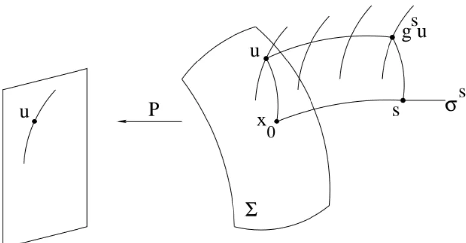 Abbildung 2.1: Die Projektion des Richtungsfeldes auf den Orbitraum.