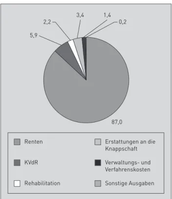 Abb. 2: Ausgaben der allgemeinen RV im Jahr 2010  in %