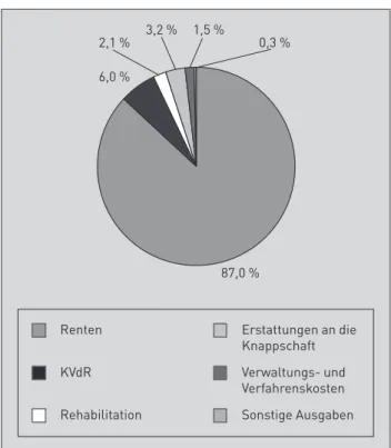 Abb. 4: Ausgaben der allgemeinen RV im Jahr 2008 