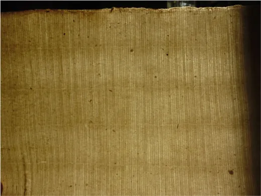 Abb. 4: Durch Faserknoten entstandene Melierungen im Papier, StR, Bü 45, Steuerbuch 1497–1499,  Foto: Johannes Follmer 2013.