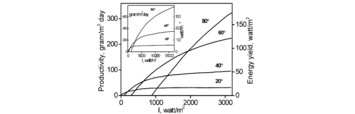Fig. 3 Productivity and energy yield of the photosynthetic system vs. light intensity at various temperatures (the numbers on the curves)
