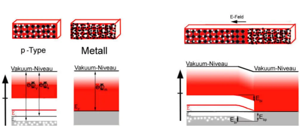 Abbildung 2.14: Bei Kontakt eines p-Halbleiters mit Metall ensteht ein Kontakt- Kontakt-Potential U bi , da sich die Vakuumniveaus von Metall und Halbleiter  gegeneinan-der verschieben