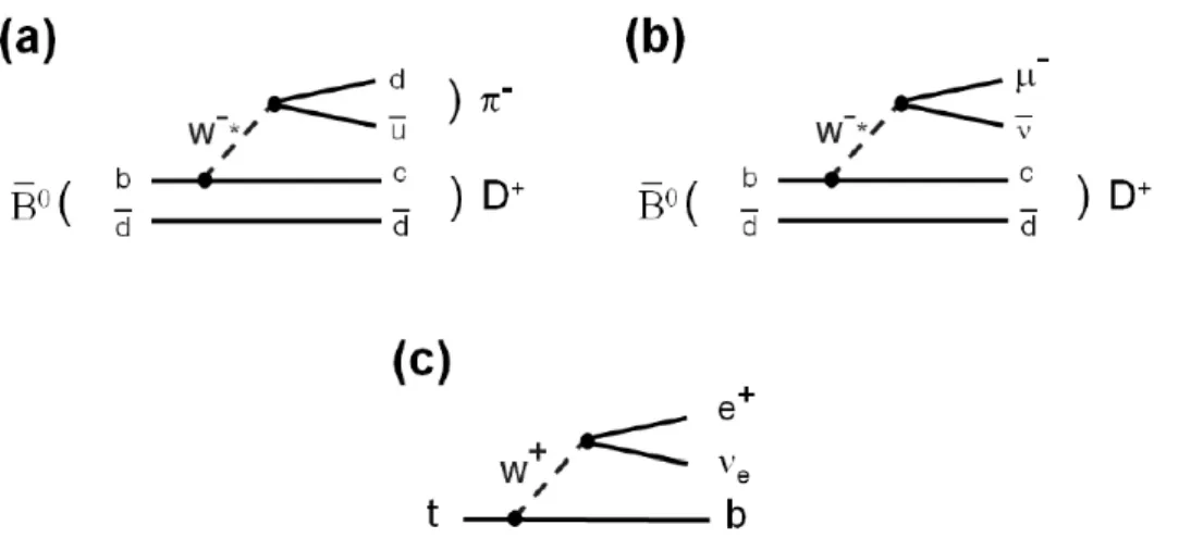Abbildung 2.7: Beispiele f¨ ur schwache Zerf¨alle: (a) Hadronischer Zerfall eines B-Hadrons