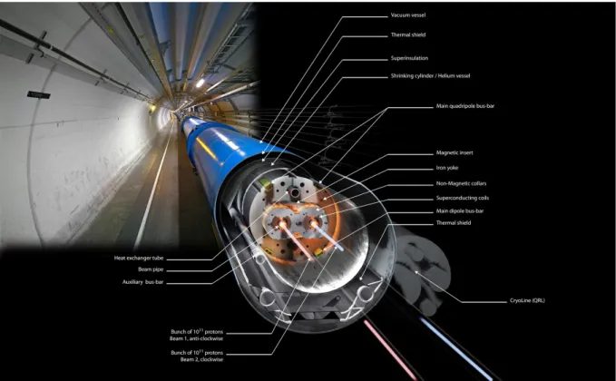 Abbildung 3.1: Profil eines LHC Dipolmagneten im Tunnel mit Beschreibung der verschiedenen Komponenten, aus Ref