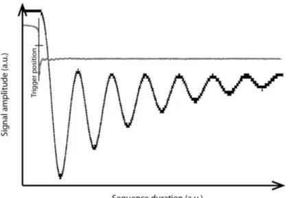 Figure 5: Illustration of a spin-precession signal of a Rb isotope (black) and of a signal indicating the magnetic-field inversion (grey)