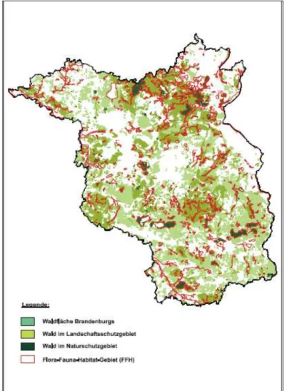 Abbildung  15:  Übersicht  über  die  Flora-Fauna-Habitat-Gebiete  Bran- Bran-denburgs  unter  Hervorhebung  der  Waldflächen  in  Naturschutz-  und  Landschaftsschutzgebieten 