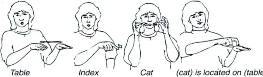 Figure 10. Productive signs used to sign ‘the cat is on the table’ in Swiss German  Sign Language (Boyes Braem 1995: 151) 