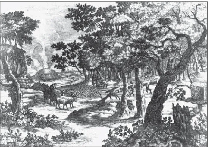 Abb. 1: Bis zum ausgehenden Mittelalter wurde der Wald vornehmlich als Produktionsstätte betrachtet