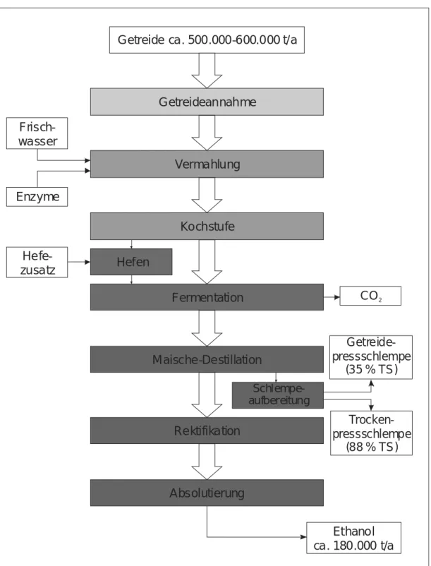 Abbildung 1: Schematische Darstellung der Bioethanolproduktion 