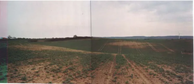 Abb. 28:   Erosionskontrolle auf dem Acker Bölkendorf am 11.04.2001 vom obersten, äuße- äuße-ren Catenenpunkt neben dem Leitprofil  