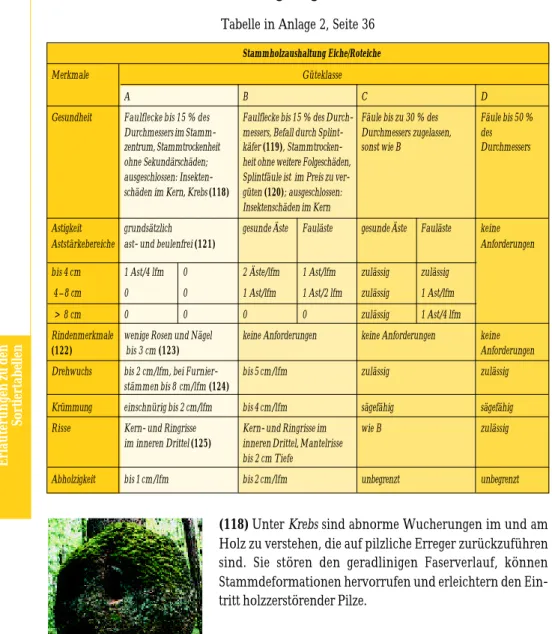 Tabelle in Anlage 2, Seite 36 Stammholzaushaltung Eiche/Roteiche