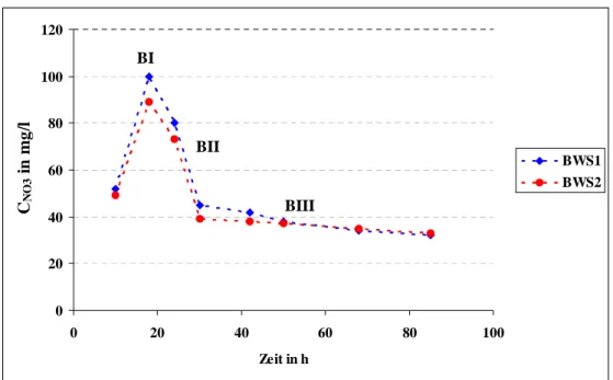 Abb. 6:  Konzentrationsverlauf für Nitrat unter einem Rieselfeld in 1,5 m Tiefe mit den Bereichen der thermody- thermody-namischen Gleichgewichtskonzentration (BI) und Nicht-Gleichgewichtskonzentration (BII und BIII) 