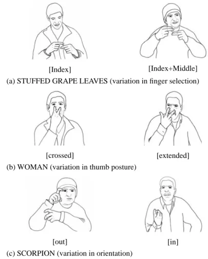 Figure 11.  Examples of hand configuration variation in ABSL.