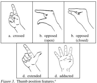 Figure 3.  Thumb position features. 6a. crossedd. extended d. adductedb.  opposed (open) b