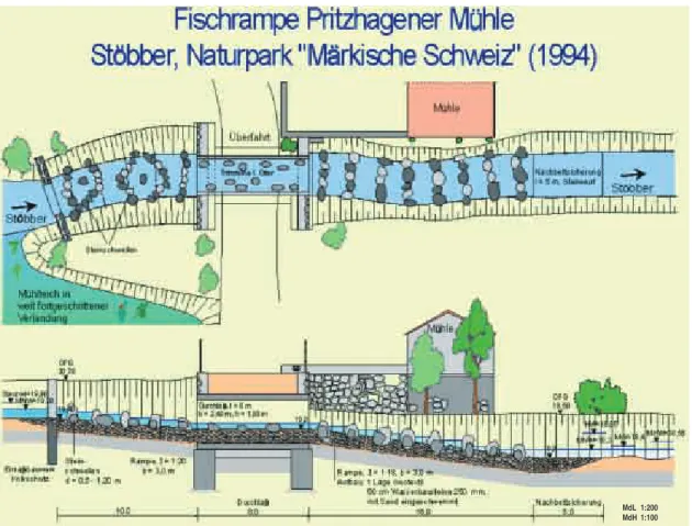 Abb. 2.7: Fischrampe an der Pritzhagener Mühle