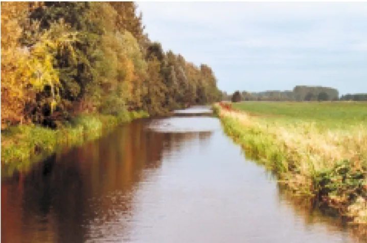 Foto 7: An der Dosse werden weite Teile der Aue von Grün- Grün-und Ackerland eingenommen