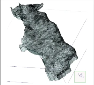 Abb. 4-14: 3D-Darstellung des Modellnetzes