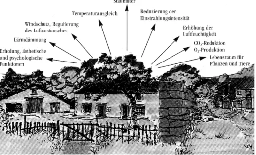 Abb. 80:  Funktionen der Grünflächen im Dorf (Quelle: AID(a) 1996)  Teilziele 