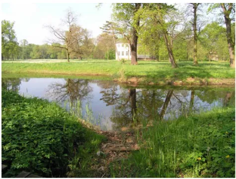 Abb. 7: Schlosspark Baruth, wiederhergestellter Teich an Stelle einer Freilichtbühne der 1950er  Jahre (Foto: Volkmann) 