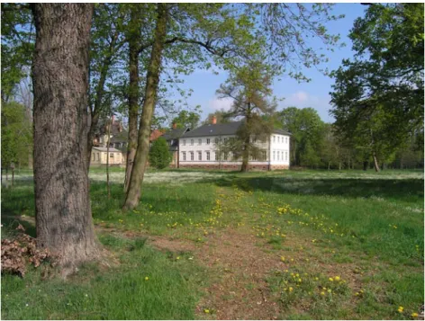 Abb. 8: Schlosspark Baruth, aufgrund unzureichender Pflege zugewachsener Weg (Foto: 
