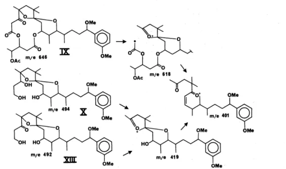 Fig.  6.  Major  mass  spectral fragments  of  oxidation products  IX,  X and  xm. 