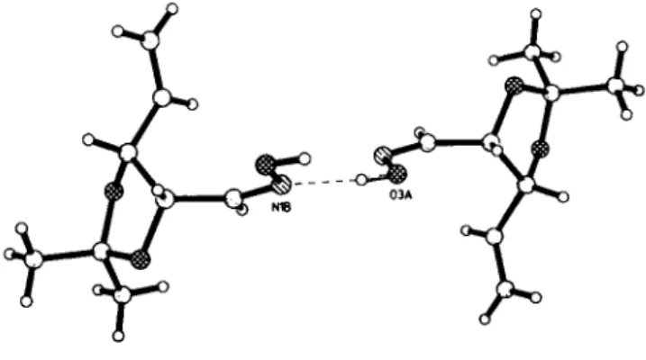 Fig. 2. Hydrogen bonds between the oxime groups. 