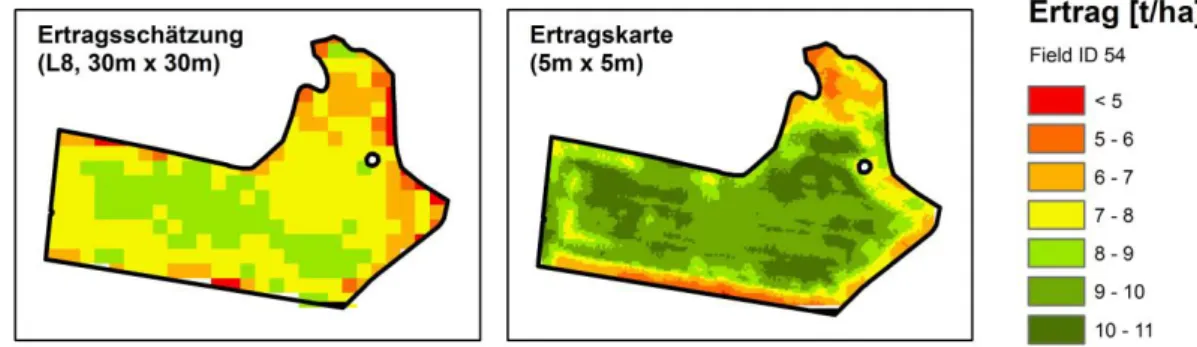 Abbildung 3: GPS-gestützte Ertragskartierung und Ergebnisse der Ertragsschätzung aus Fer- Fer-nerkundungsdaten (Landsat 8 OLI) 