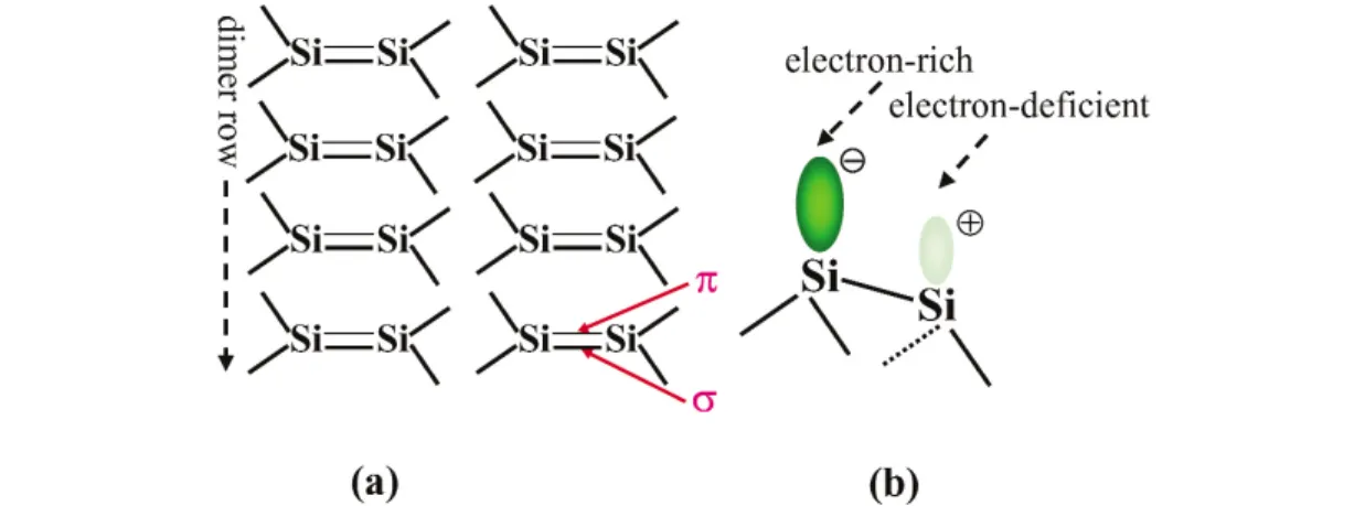 Fig. 11 (a) Reagent-like Si(100) made of homogeneously arranged Si=Si dimers. (b) A tilted Si=Si dimer made of one tilted-up electron-rich silicon atom and one tilted-down electron-deficient one.