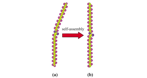 Fig. 2 Scheme showing the distortion of an ester molecule from the originally bent configuration (a) into a linear configuration (b) upon self-assembly
