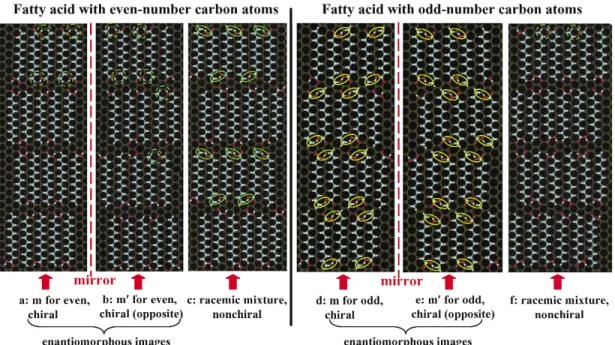 Figure  10a  is  an  STM  image  of  5-octadecyloxyisophthalic  acid  (5OIA)  thin  film