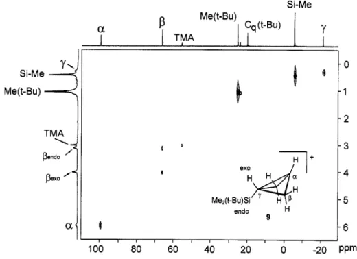 Fig.  7.  HC-COSY-NMR  spectrum of  9  at -115  'C;  internal standard TMA G(NMe:)  =  55.65  ppm (13C)  and 3.00 ppm  ('H), 