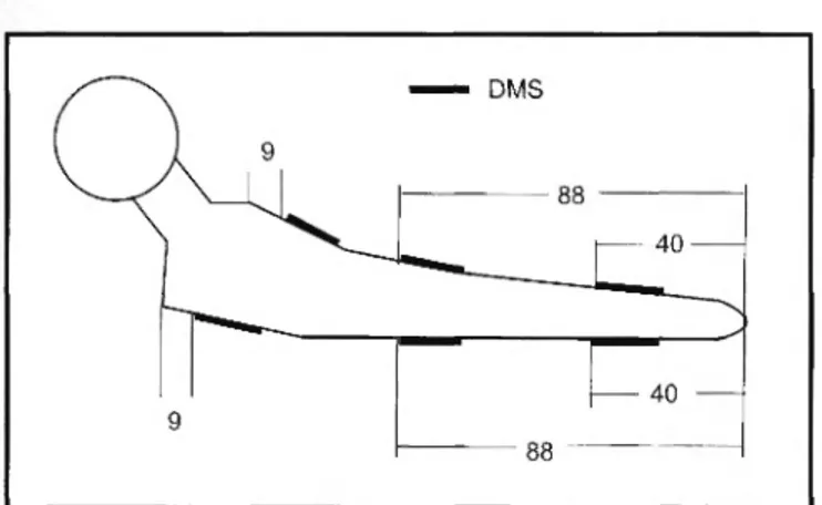 Abb. 6: Position von Dehnungsmessstreifen (DMS) auf einer Hüftendo- Hüftendo-prothese