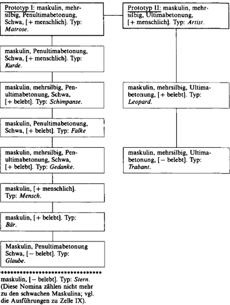 Abbildung 3: Die prototypische Organisation der schwachen Maskulina 