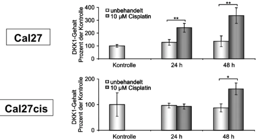 Abb. 5 : Induktion der DKK1-Sezernierung durch Cisplatinbehandlung bei Cal27- und Cal27cis-Zellen.