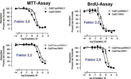 Abb. 8 : Sensitivierung von Cal27- und Cal27cis-Zellen gegen Cisplatin im MTT-Zytotoxizitäts- und BrdU-Proliferationsassay durch rekombinante Überexpression von DKK1
