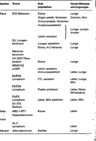 Tab. 2: Beispiele von Tumormodellen mit Subpopulationen un- un-terschiedlicher Metastasierungseigenschaften