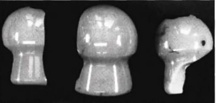 Abb. 5: Pilzförmige, keramische Halskugel (links), im Vergleich kerami- kerami-scher Standard-Kugelkopf (rechts) 