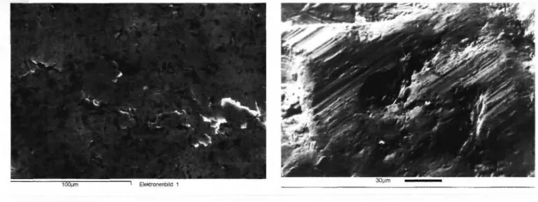 Abb. 3: CAP-M Hüft- Hüft-endoprothesen-Stiel  aus TiAI6Nb7 vor der  (links) und nach der  Testung (rechts) mit  abrasiven  Verände-rungen im  reibbean-spruchten distalen  Be-reich 