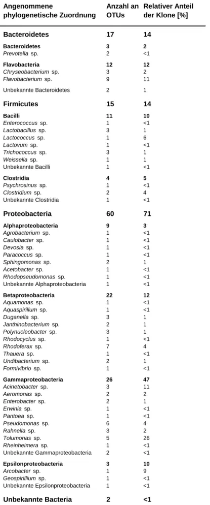 Tabelle 2: Anzahl und Häufigkeit der in der Klonbibliothek detektierten OTUs. Angenommene  phylogenetische Zuordnung Anzahl an OTUs Relativer Anteil der Klone [%] Bacteroidetes 17 14 Bacteroidetes 3 2 Prevotella  sp