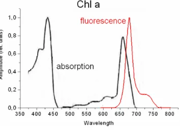 Figure 1: absorption and fluorescence of Chl a in  solution. 