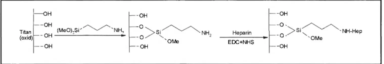 Abb. I: Formeller Reaktionsablauf der Modifizierung des Titandioxids 
