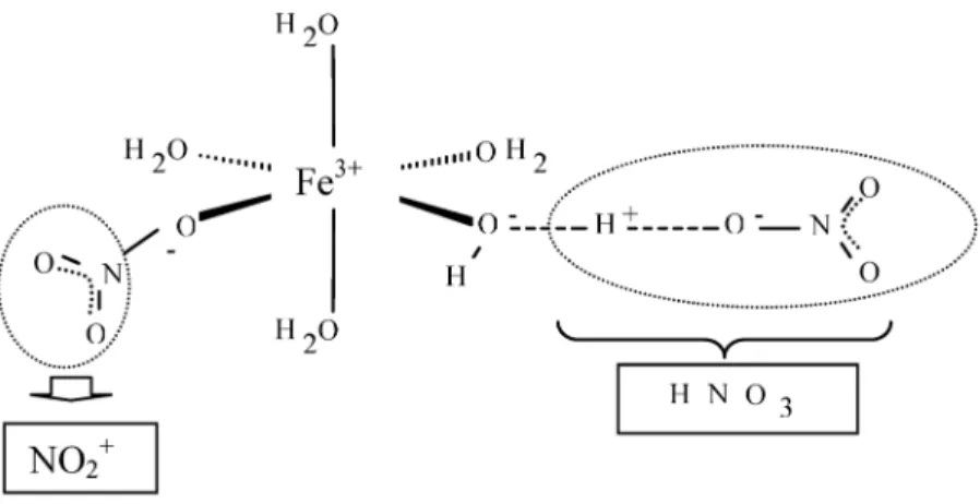 Fig. 13 Possible structural situation in molten ferric nitrate pentahydrate to explain the nitrating effect